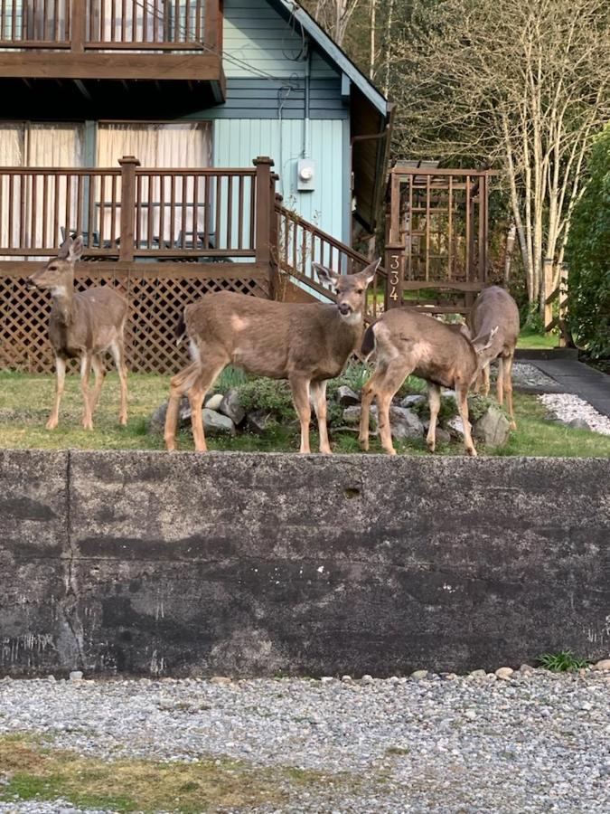 Seas The Day House 5 Star Hottub Pets Bbq Fire Premier Location Hotel Gibsons Exterior foto